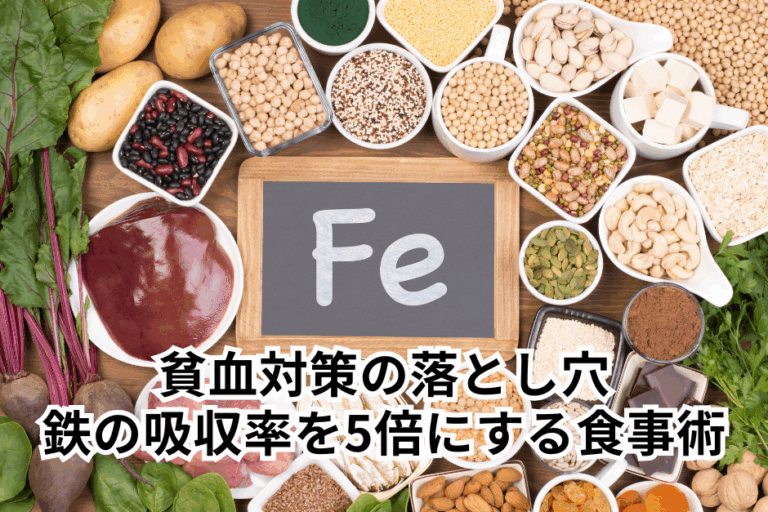 貧血対策の落とし穴。鉄の吸収力を5倍にする食事術