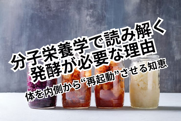【分子栄養学で読み解く】発酵が必要な理由〜体を内側から“再起動”させる知恵