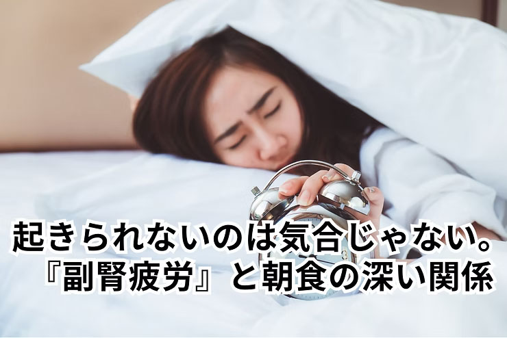 起きられないのは気合いじゃない。それ、もしかしたら副腎疲労かも