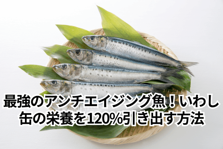 最強のアンチエイジング魚！いわし缶の栄養を120%引き出す方法