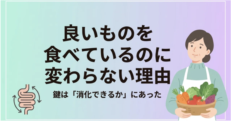 【衝撃】良いものを食べているのに変わらない理由。内側を整える鍵は「何を摂るか」より「消化できるか」にあった。