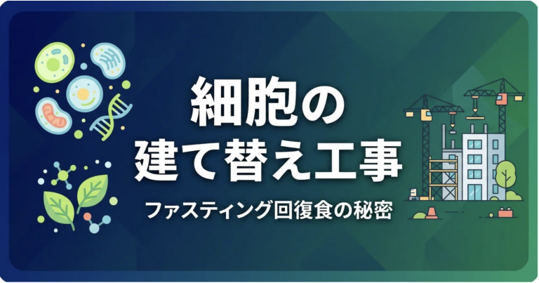 ファスティングは「解体」で終わらない。細胞の「建て替え工事」を成功させる、最高級の建材とは？
