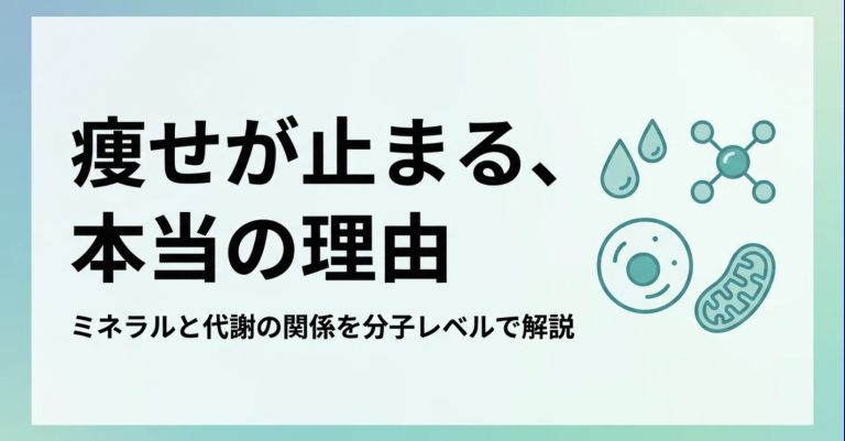 汗と一緒に「痩せるスイッチ」が流れ出ている？夏に向けてのダイエット停滞期を打破する、分子レベルのミネラル戦略