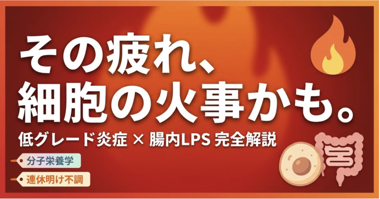 【衝撃】連休明けの「なんとなく不調」は細胞の火事？美食の代償「低グレード炎症」を鎮める具体的ステップ