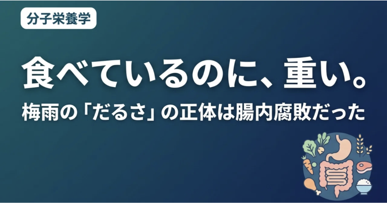 梅雨の「抜けないだるさ」は、エネルギー不足ではない——胃腸の低下が招く「未消化物の腐敗」と腸内リセットの話