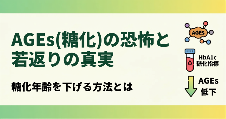 AGEs（糖化）の恐怖と若返りの真実〜糖化年齢を下げる方法〜