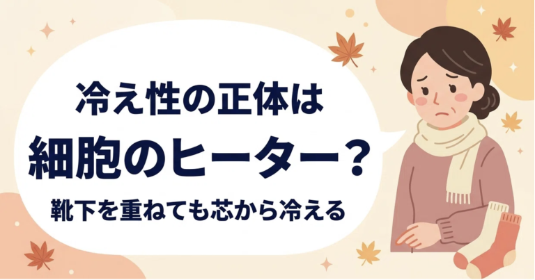 靴下を重ね履きしても体が冷える！秋の「冷え性」の正体は、血行不良ではなく「細胞のヒーター故障」だった
